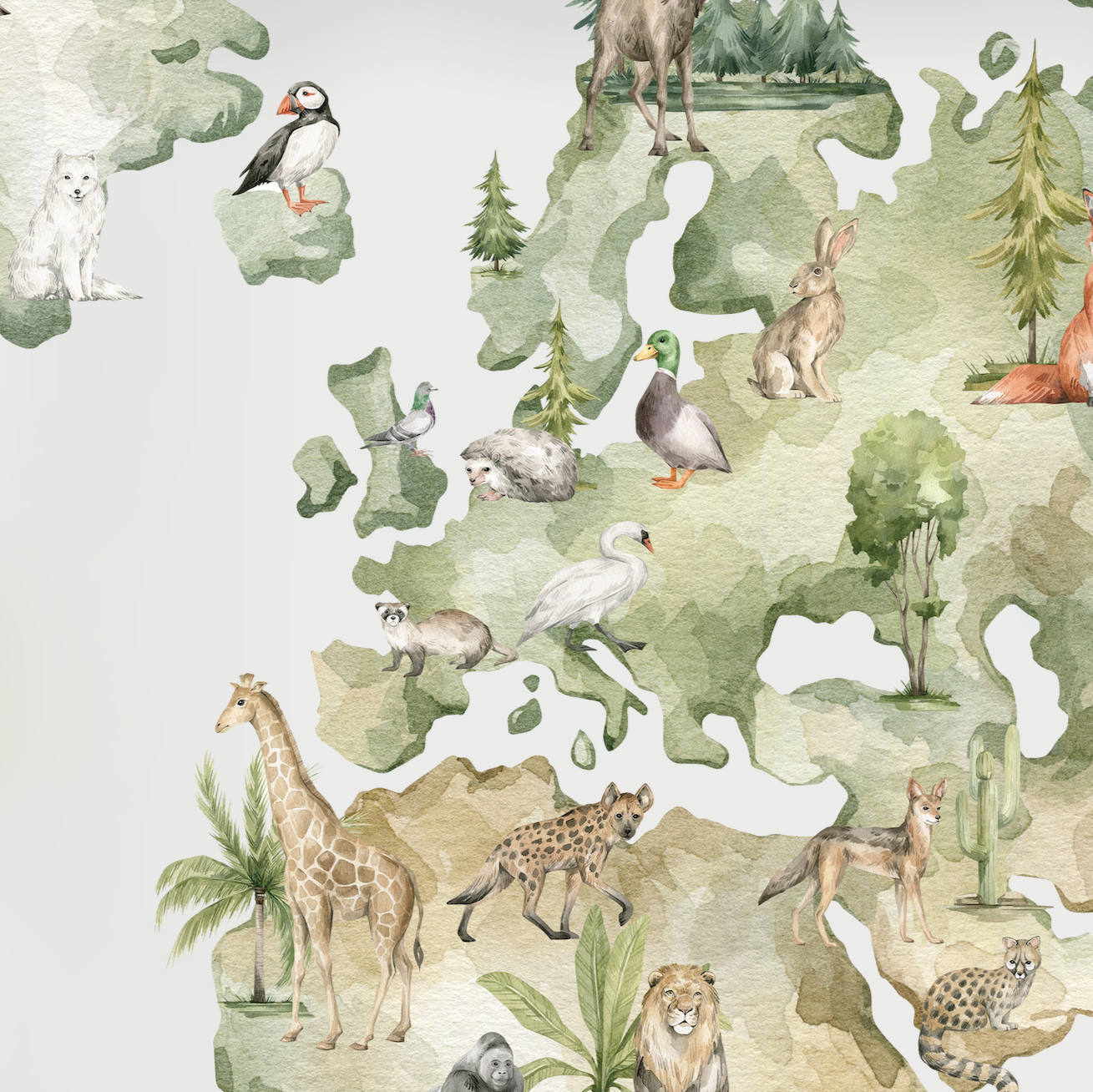 Lona Mapa Ilustrado