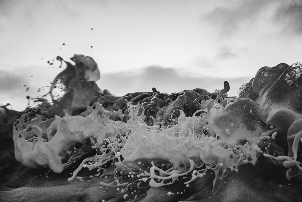 CONJUNTO OLAS Y SURF B&N