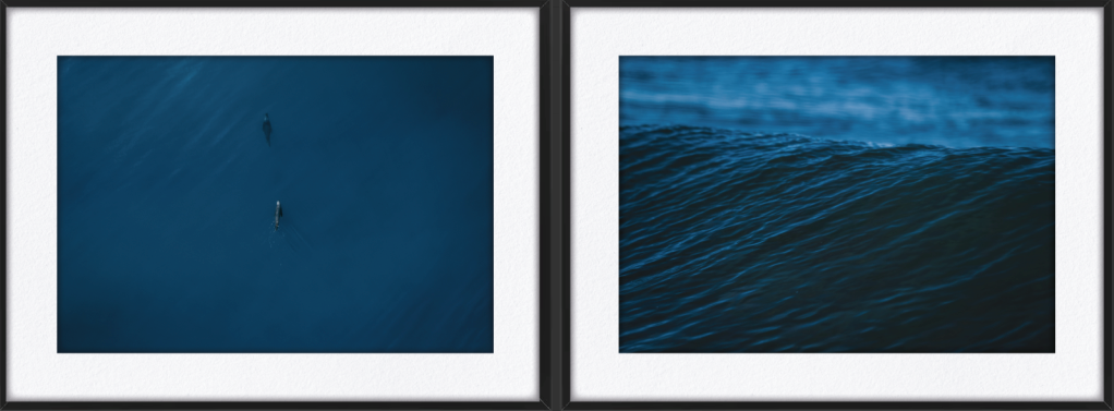 CONJUNTO LOBOS DE MAR