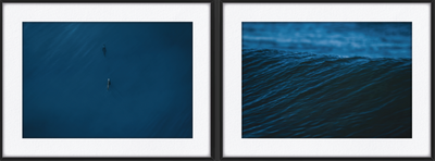 CONJUNTO LOBOS DE MAR