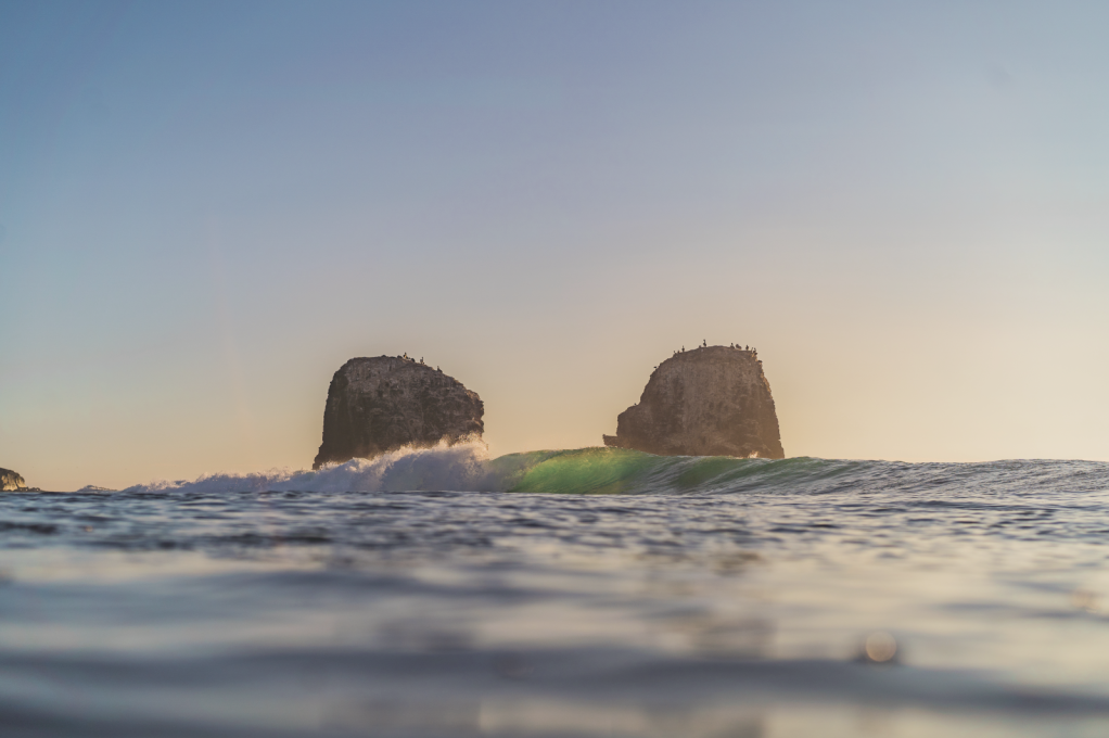 MORRO PUNTA DE LOBOS I