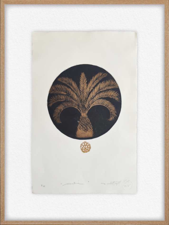 SIMETRÍA II
 Palmera Negra