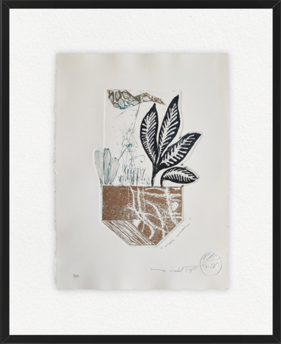 MI RINCÓN II
 Hoja Negra