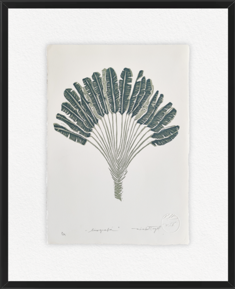 LINOGRAFÍA I
 Árbol Platanero