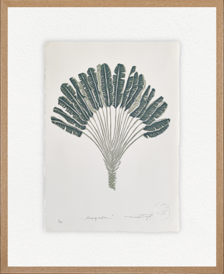 LINOGRAFÍA I
 Árbol Platanero