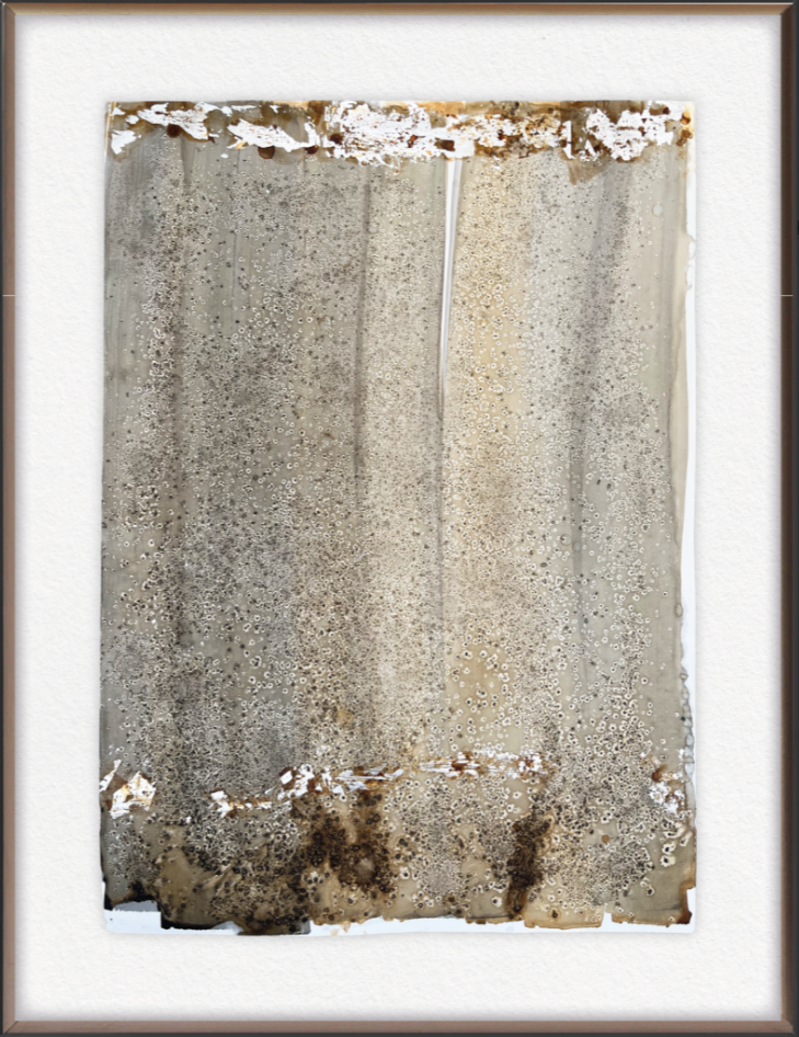 HUELLAS EN LA ARENA I