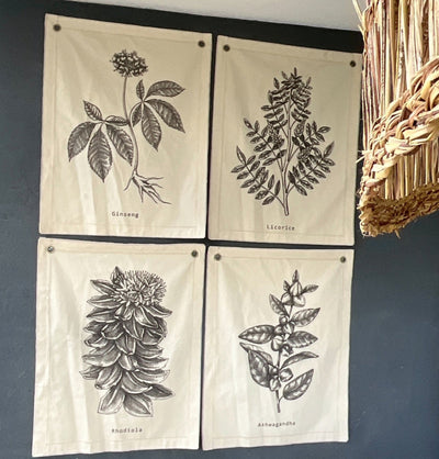 Lona Botanica III
