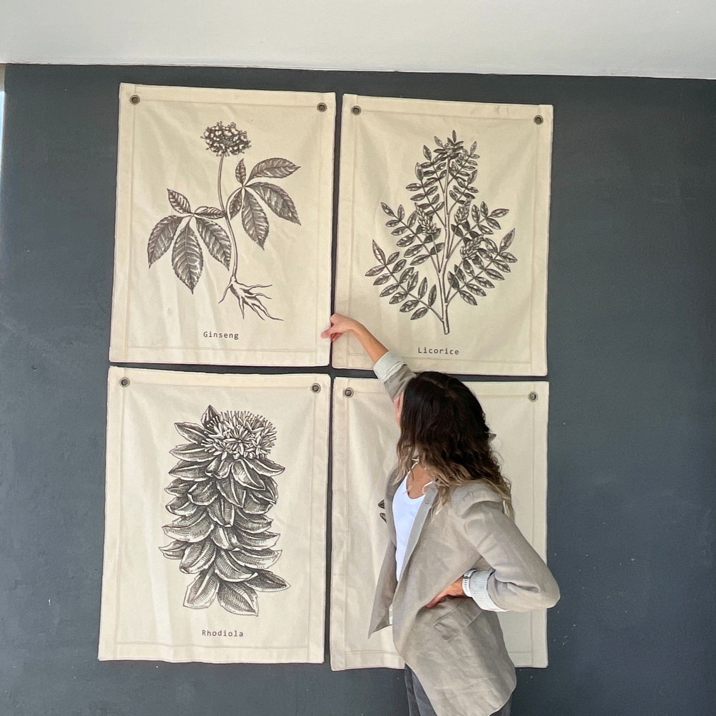 Lona Botanica IV