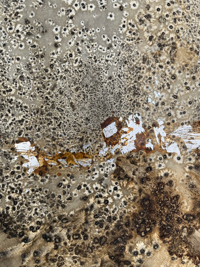 HUELLAS EN LA ARENA I