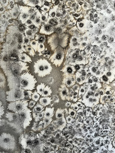 HUELLAS EN LA ARENA II