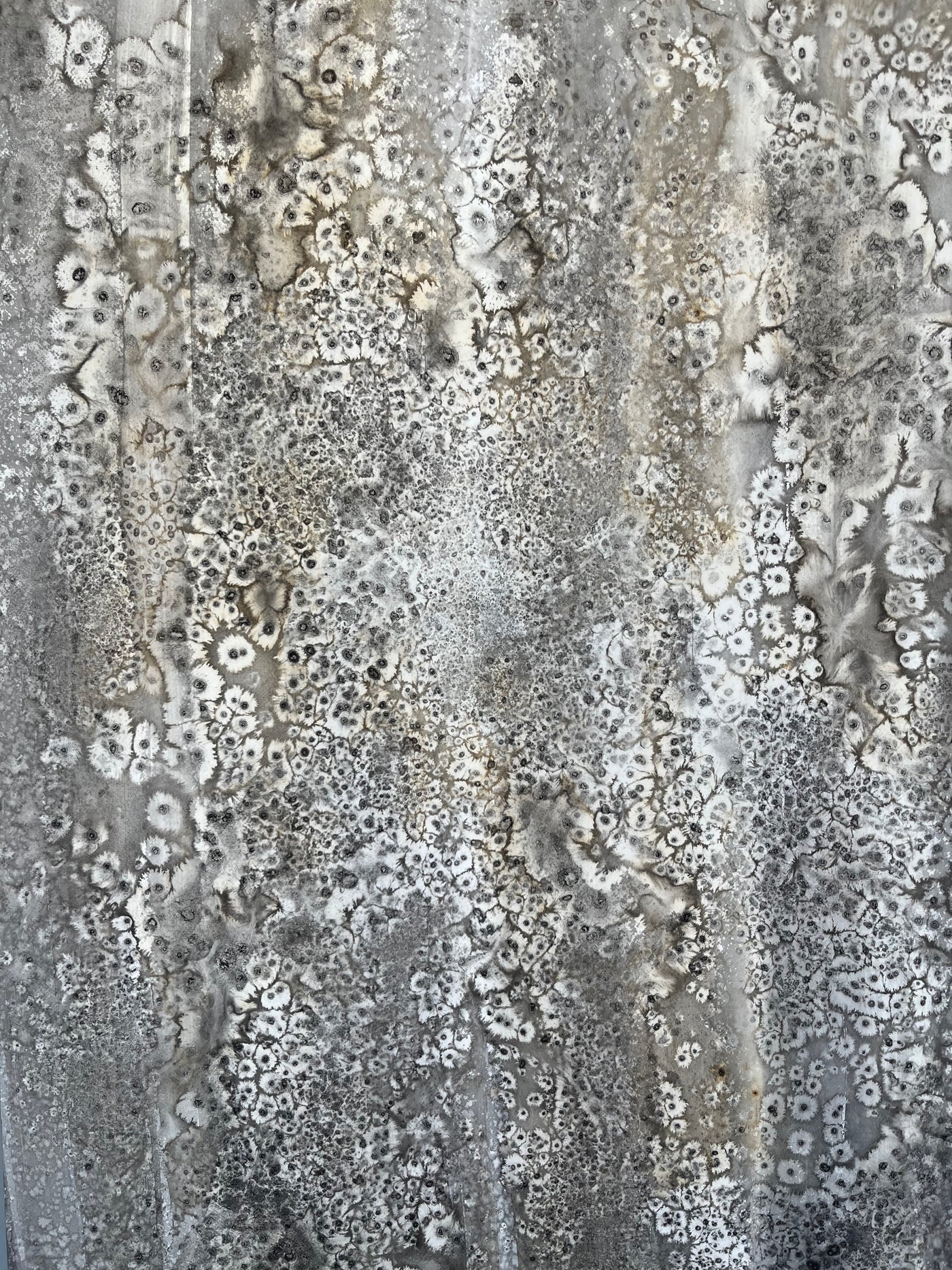 HUELLAS EN LA ARENA II