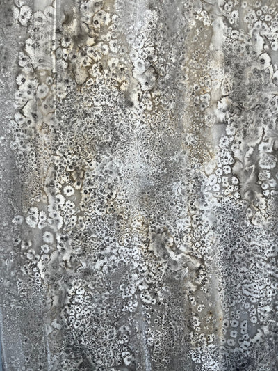 HUELLAS EN LA ARENA II