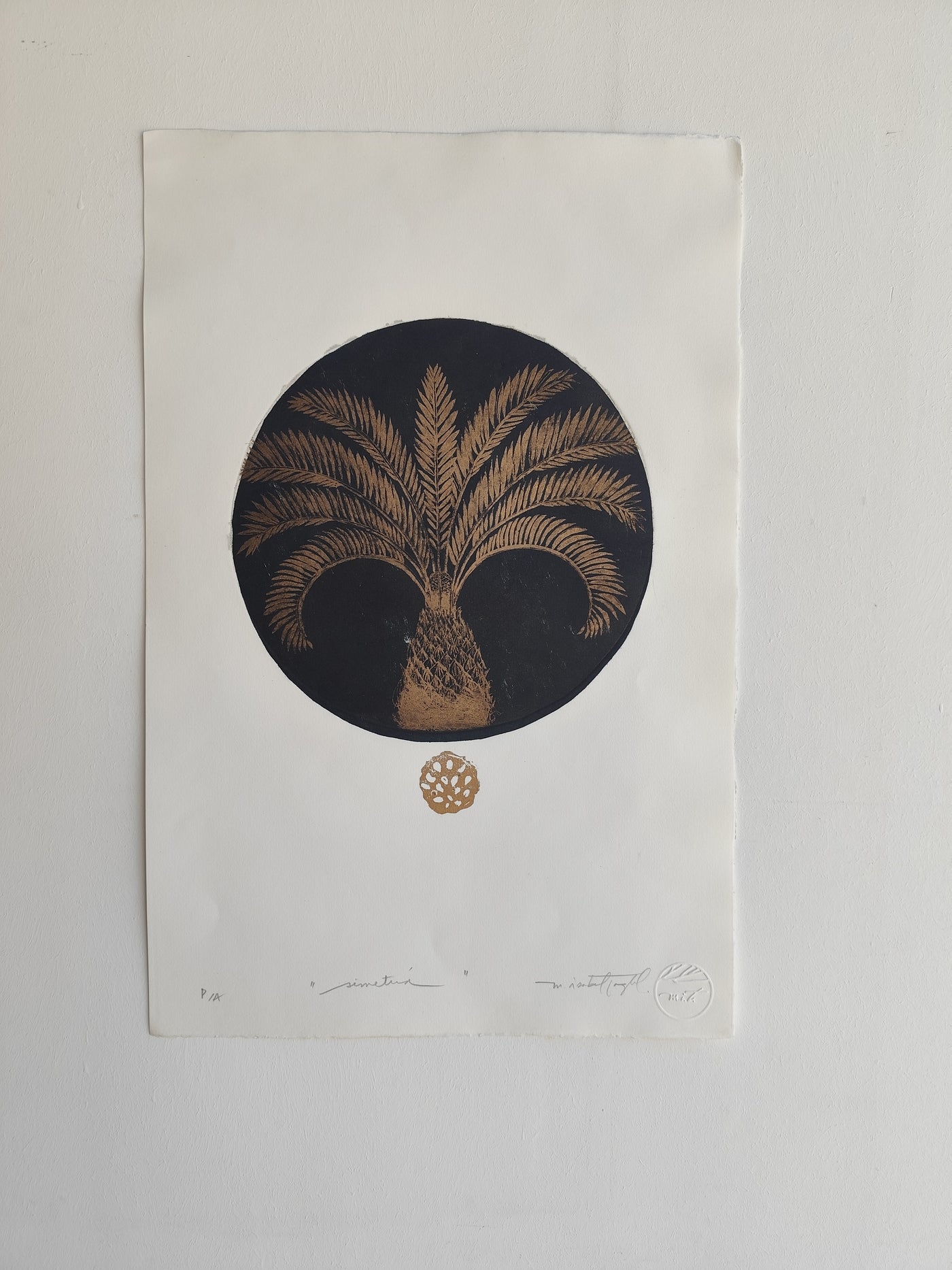 SIMETRÍA II
 Palmera Negra