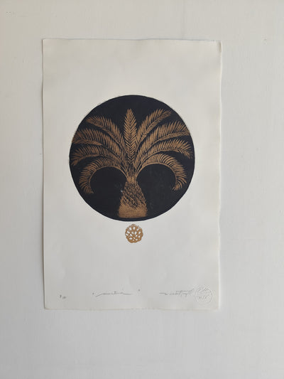 SIMETRÍA II
 Palmera Negra