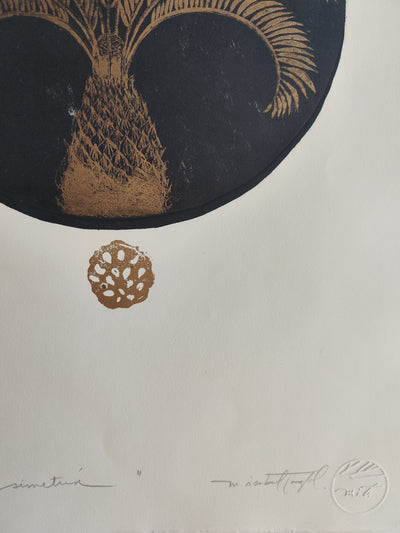 SIMETRÍA II
 Palmera Negra