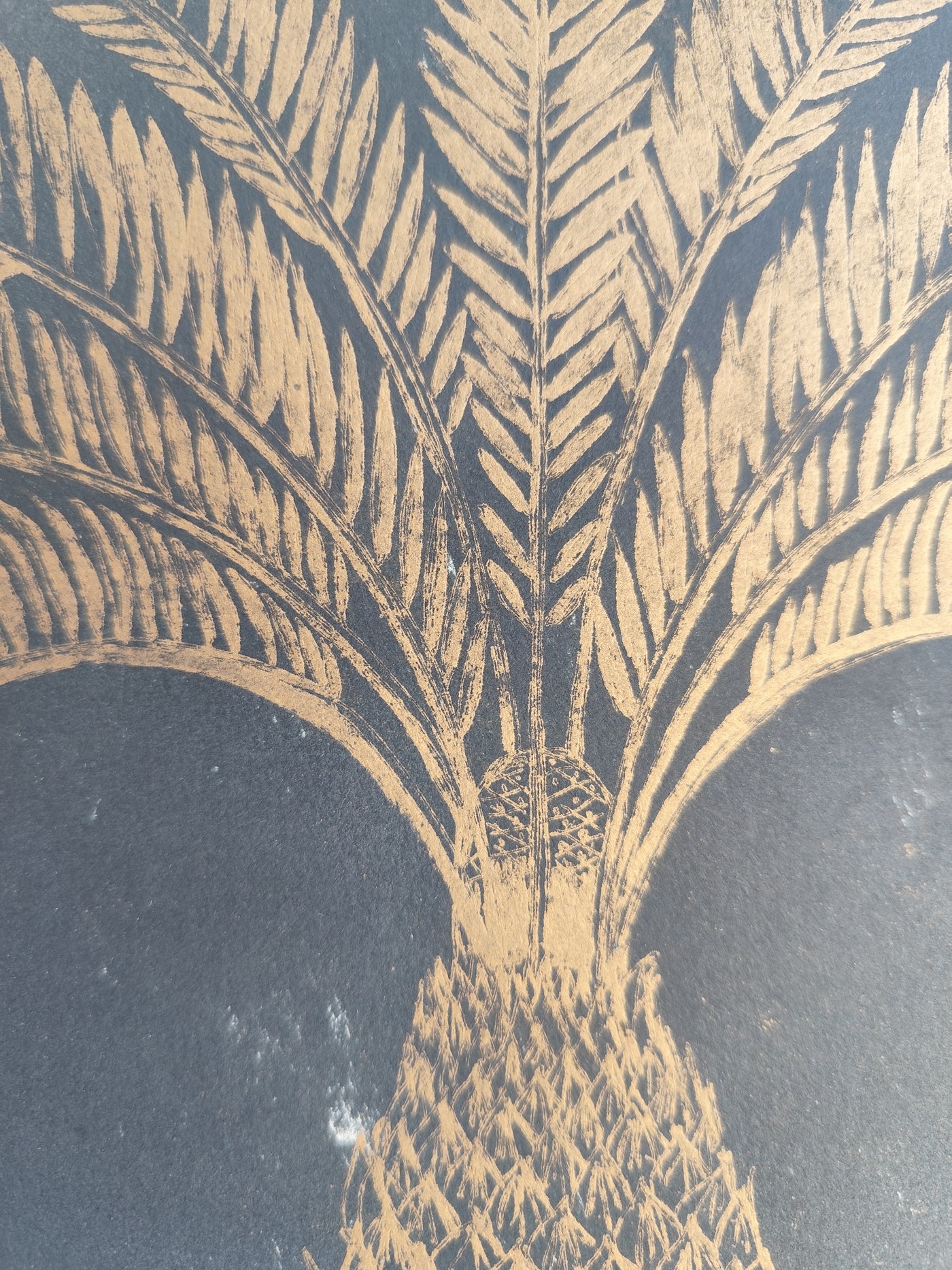 SIMETRÍA II
 Palmera Negra