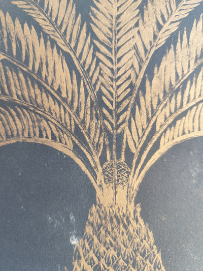 SIMETRÍA II
 Palmera Negra