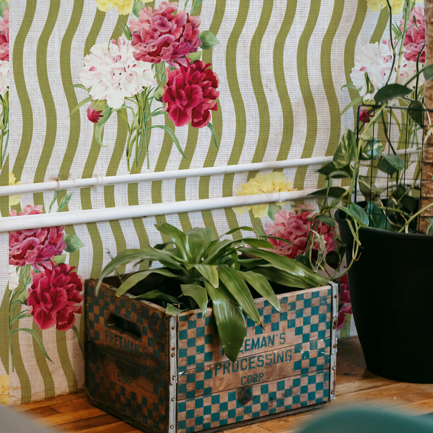 PAPEL MURAL LINE FLOWER