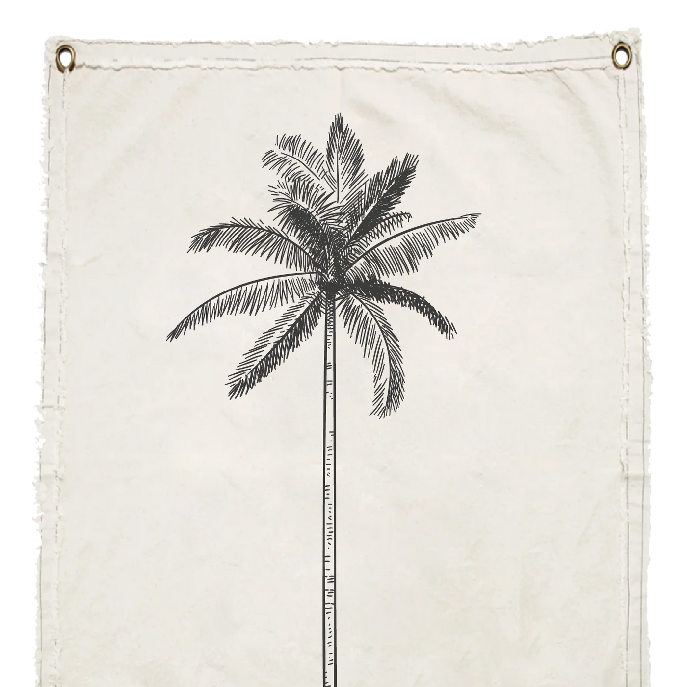 PALMERA II