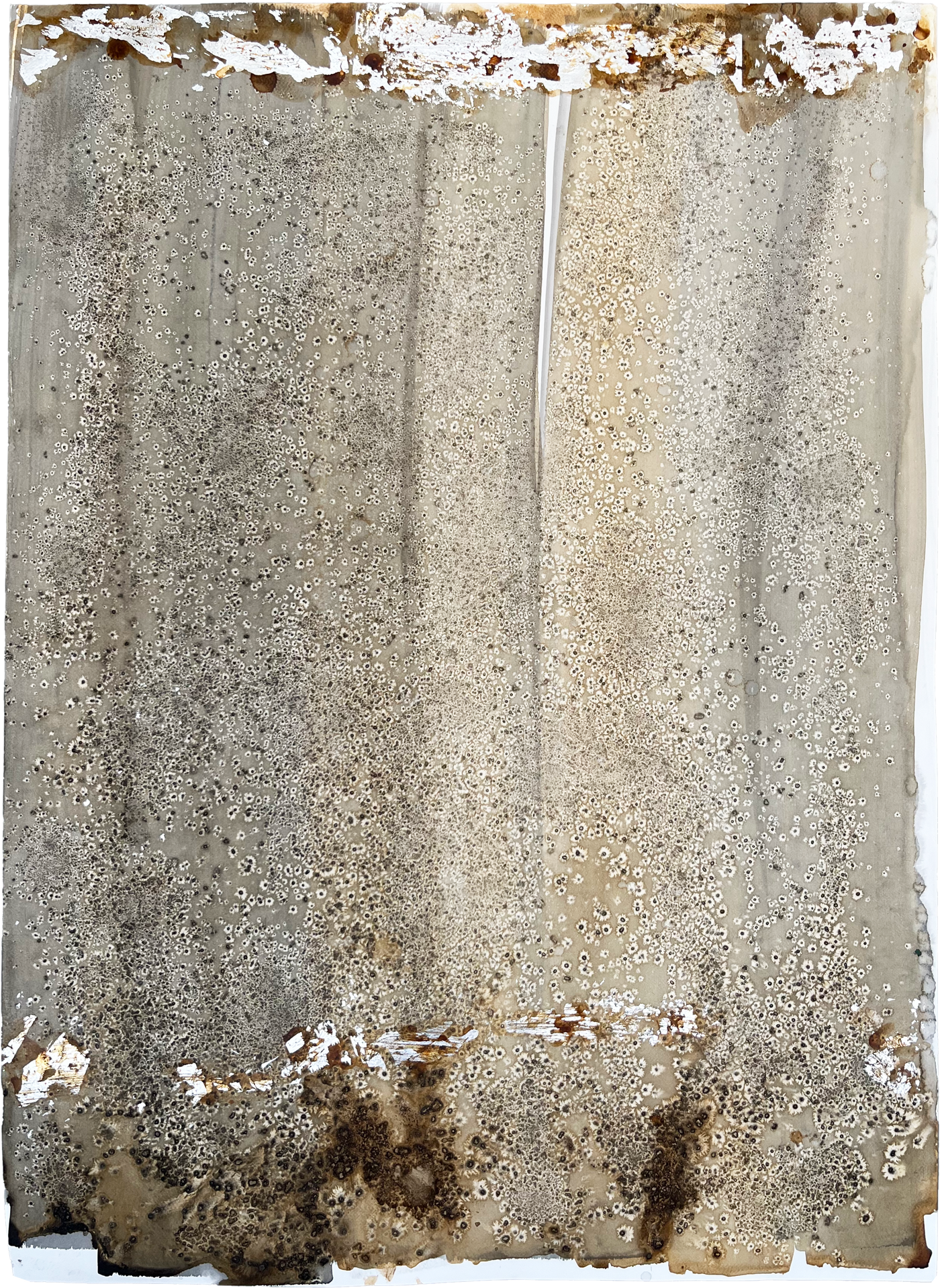 HUELLAS EN LA ARENA I