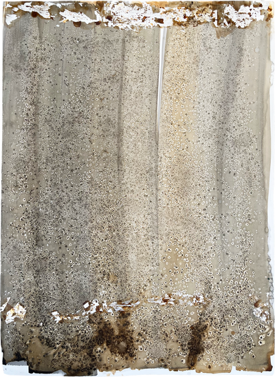 HUELLAS EN LA ARENA I