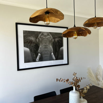 Elefante Blanco & Negro